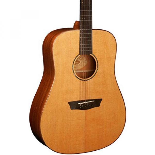 Washburn Solid Wood Series WD160SW Dreadnought Acoustic Guitar, Natural