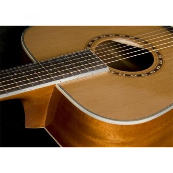 Washburn WD-11S Acoustic Guitar