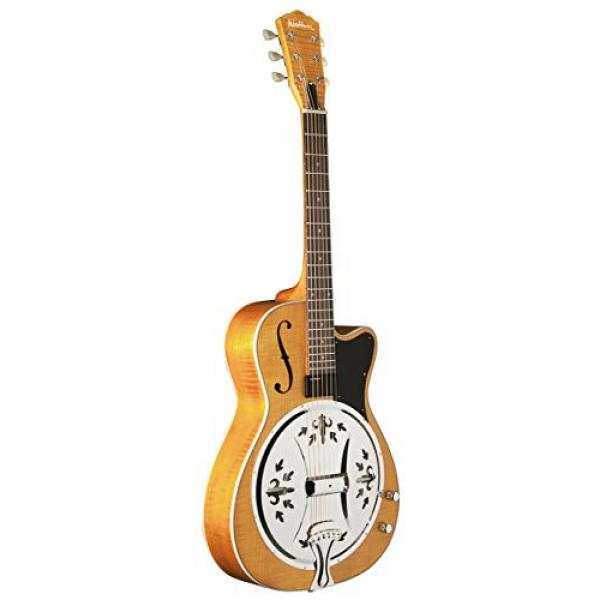 Washburn USM-R60RCE Resonator Guitar, Trans Honey