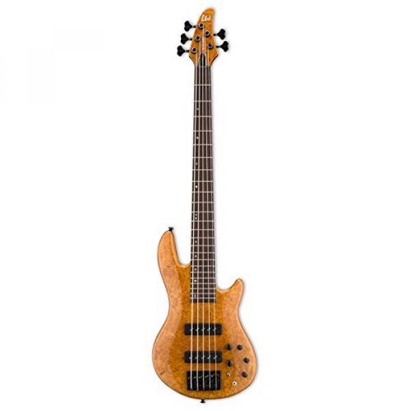 ESP LH1005SEBMHN-KIT-2 H Series 5-String Solid Burled Maple Top Electric Bass with Hard Case, Honey Natural