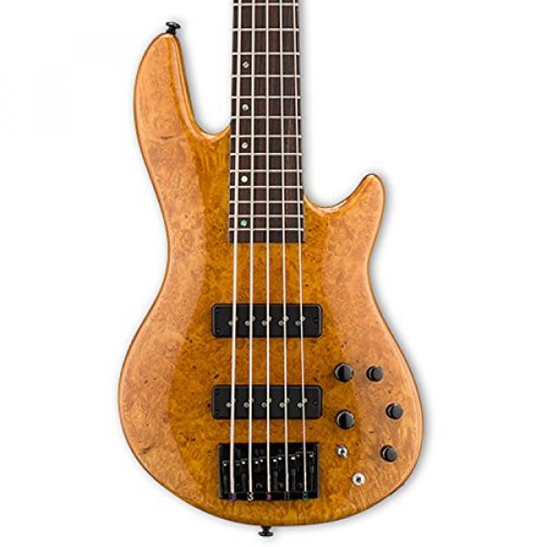 ESP LH1005SEBMHN-KIT-2 H Series 5-String Solid Burled Maple Top Electric Bass with Hard Case, Honey Natural