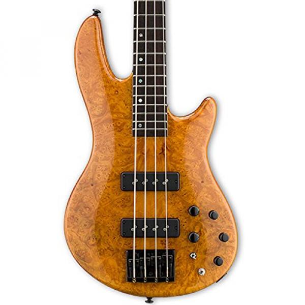 ESP LH1004SEBMHN-KIT-2 H Series 4-String Solid Burled Maple Top Electric Bass with Hard Case, Honey Natural