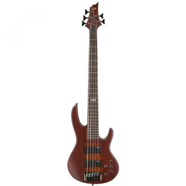 ESP LTD D-5-NS Natural Satin 5-String Electric Bass w/ Accessories &amp; Gig Bag
