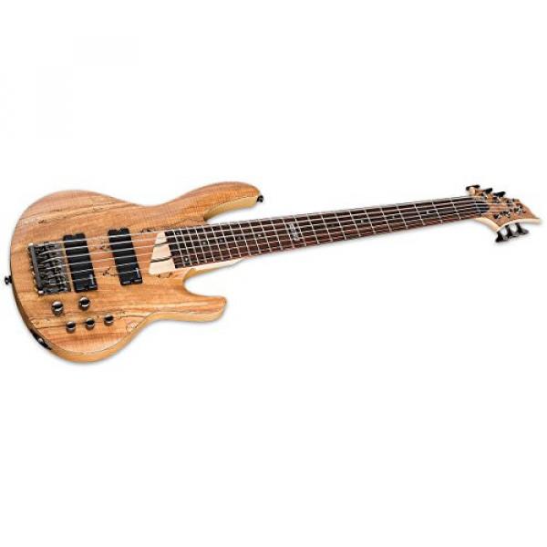 ESP LTD B Series B-205 Five-String Bass Guitar - Natural Satin