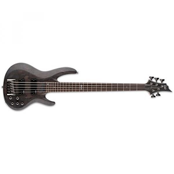 ESP LB205SMSTBLKS 5-String Bass Guitar, Black Satin