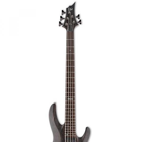 ESP LB205SMSTBLKS 5-String Bass Guitar, Black Satin