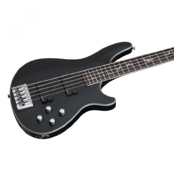 Schecter 1201 Damien Platinum 5 SBK Bass Guitars