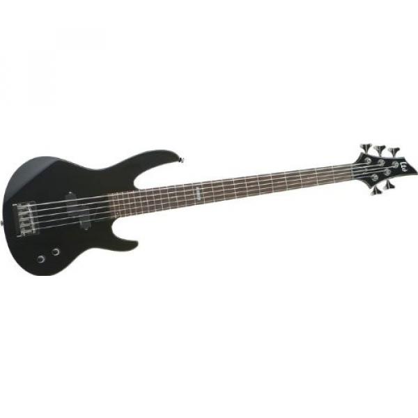 ESP B-15 5-String Bass