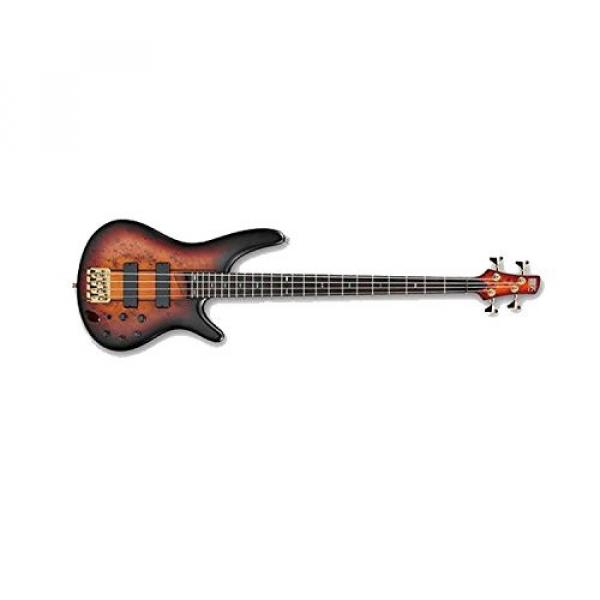 Ibanez SR800 4-String Electric Bass Guitar in Aged Whiskey Burst Finish with Ultra 2445BK Basic Guitar Stand, Snark SN5X Clip-On Tuner and Custom Designed Instrument Cloth