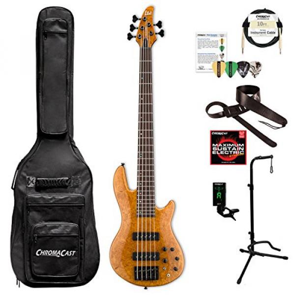 ESP LH1005SEBMHN-KIT-1 H Series H-1005SE 5-String Solid Burled Maple Top Electric Bass, Honey Natural