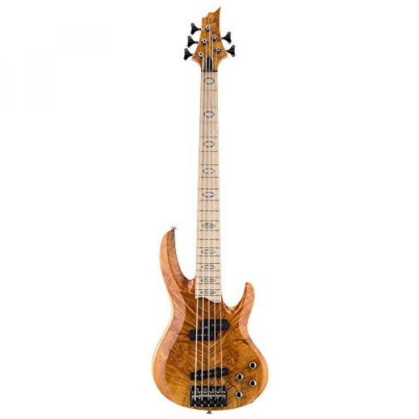 ESP RB-1005BMHN Burled Maple 5 String Bass